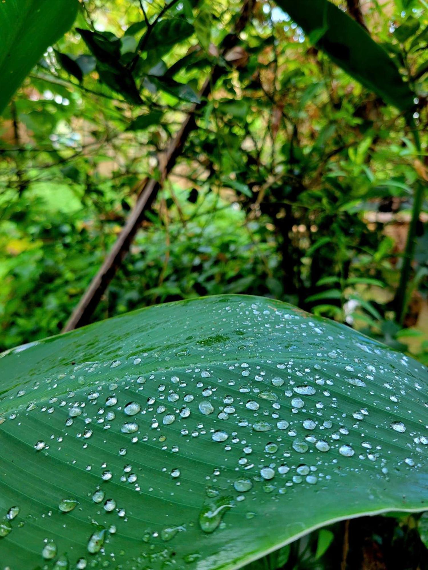 Nong Trai Thanh Thoi Ben Tre Buitenkant foto